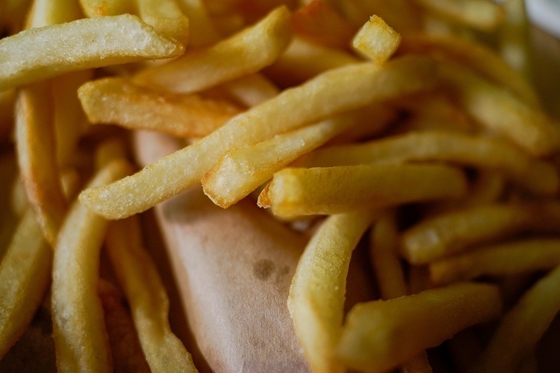 Draagbare frituurmachine voor mobiele voedselbedrijven