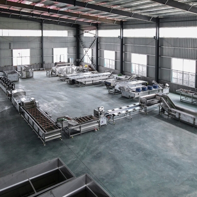 500 kg commerciële industriële automatische fruitwasmachine / groentenwasmachine