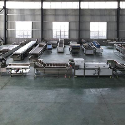 Automatische machine voor de verwerking van fruit en groenten voor de productie met een capaciteit van 1500 kg/uur