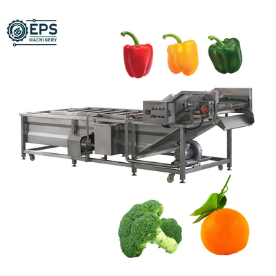 Op maat gemaakte machines voor het wassen van fruit en groenten