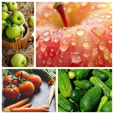 500 kg aanpassing commerciële industriële groenten- en fruitwasmachine online