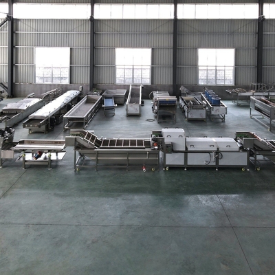 1500 kg/h capaciteit Fruit Cleaning Machine en Groentenwasmachine voor industriële doeleinden