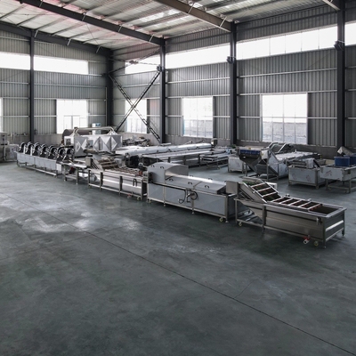 1500 kg/h capaciteit Fruit Cleaning Machine en Groentenwasmachine voor industriële doeleinden