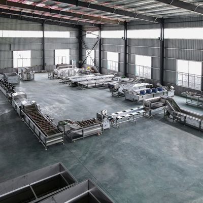 Multifunktioneel schilmachine voor het wassen van groenten en fruit