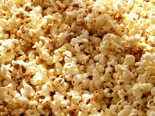 Elektrische thermische olie industriële kookketel met mengmachine voor bonenpasta en makkelijk