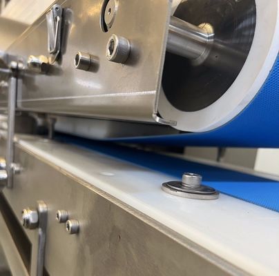 Verwerking door warmte Verwerkte vlees- en vissnipper van roestvrij staal