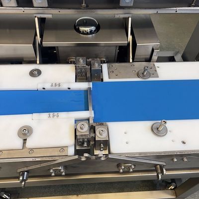 500 kg kippenborst en vis snijmachine voor efficiënte thermische verwerking